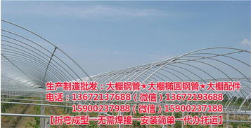 蔬菜30 70橢圓管 30 70橢圓管 橢圓管